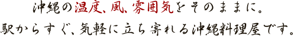 沖縄の温度、風、雰囲気をそのままに。駅からすぐ、気軽に立ち寄れる沖縄料理屋です。